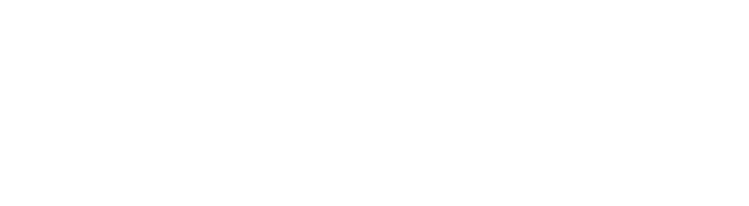 everything information